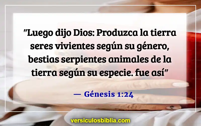 Versículos de la Biblia sobre las almas de los animales (Génesis 1:24)