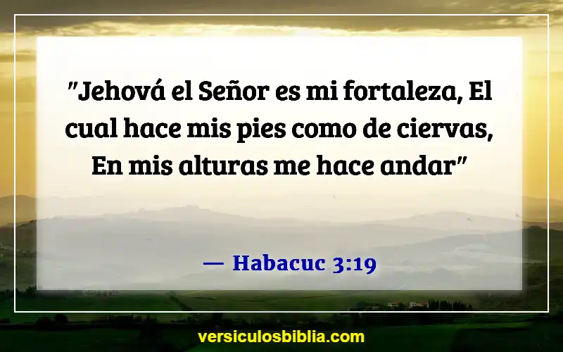 Versículos bíblicos sobre confiar en Dios (Habacuc 3:19)