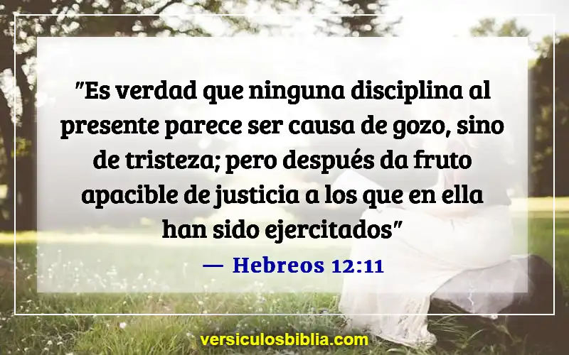 Versículos bíblicos sobre el dolor (Hebreos 12:11)