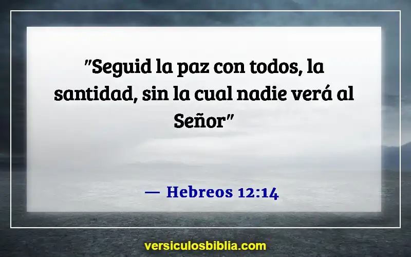 Versículos de la Biblia sobre el hombre como cabeza del hogar (Hebreos 12:14)