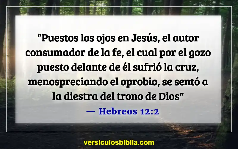 Versículos de la Biblia sobre el tiempo de quietud (Hebreos 12:2)