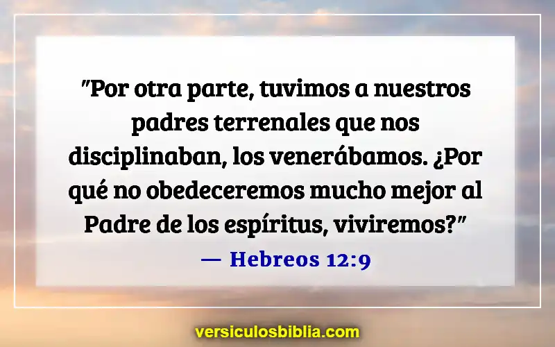 Versículos de la Biblia sobre respetar a los padres (Hebreos 12:9)