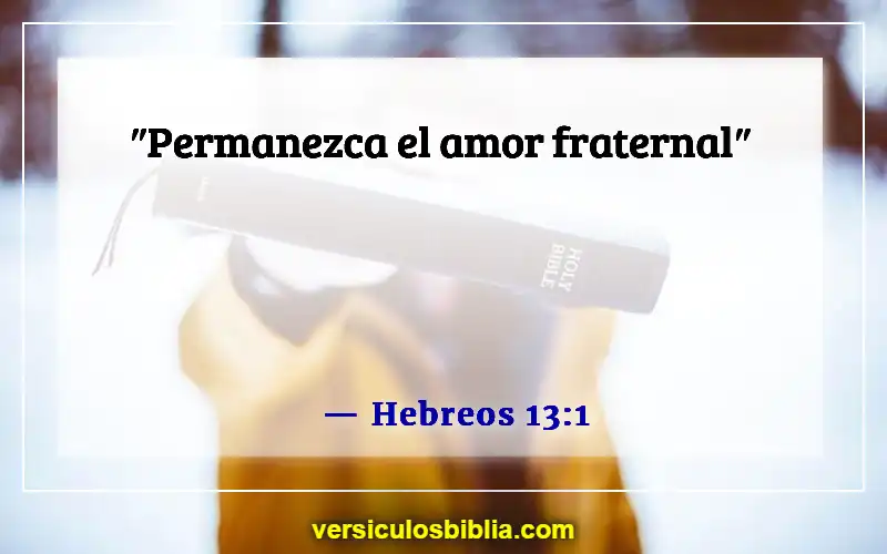 Versículos de la Biblia sobre el afecto (Hebreos 13:1)