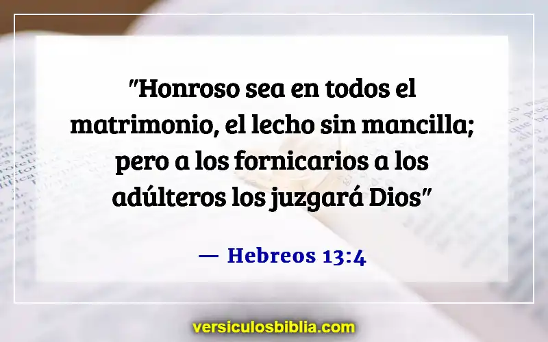 Versículos de la Biblia sobre el hombre como cabeza del hogar (Hebreos 13:4)