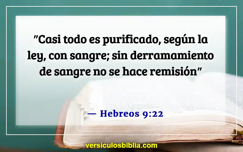 Versículos de la Biblia sobre el perdón de los pecados (Hebreos 9:22)