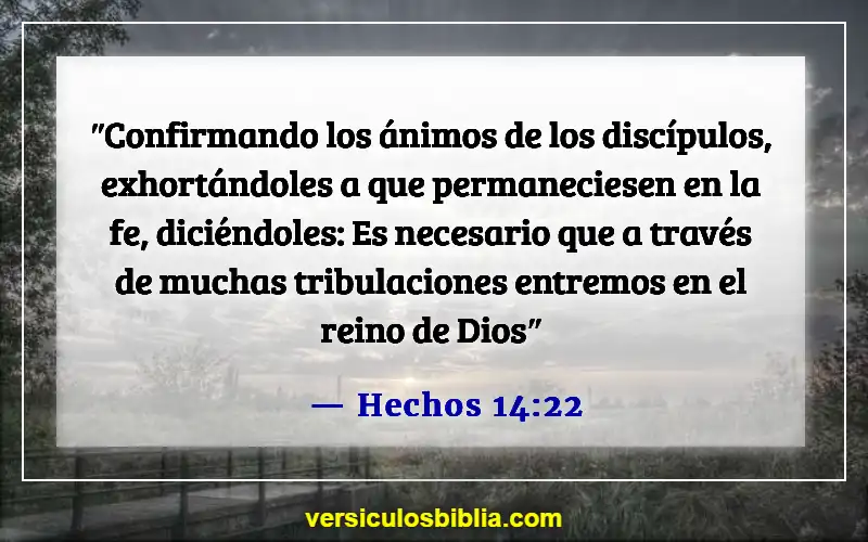 Versículos bíblicos sobre el Reino de Dios (Hechos 14:22)