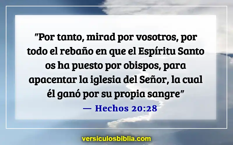 Versículos de la Biblia sobre las calificaciones de un anciano (Hechos 20:28)