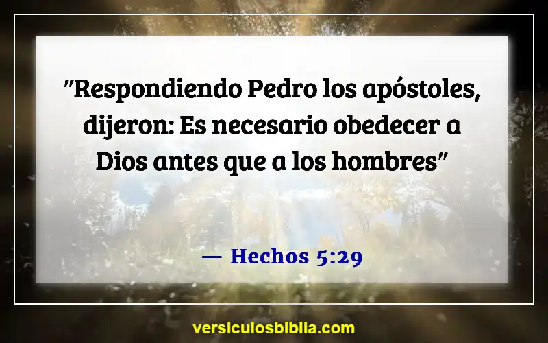 Versículos de la Biblia sobre honrar a los líderes (Hechos 5:29)