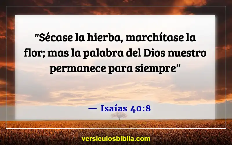 Versículos de la Biblia sobre hacer promesas (Isaías 40:8)