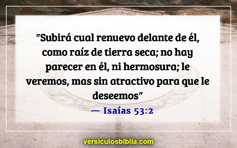 Versículos de la Biblia sobre juzgar por las apariencias (Isaías 53:2)