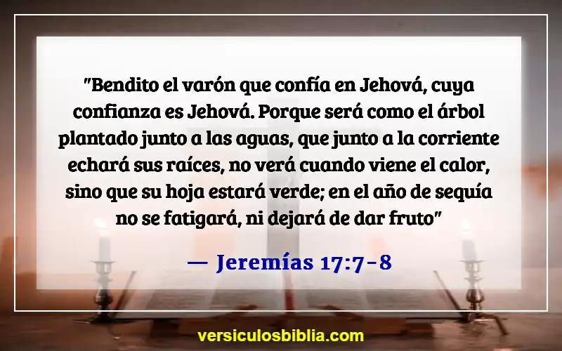 Versículos bíblicos sobre confiar en Dios (Jeremías 17:7-8)