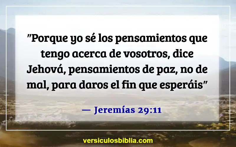 Versículos bíblicos sobre el dolor (Jeremías 29:11)