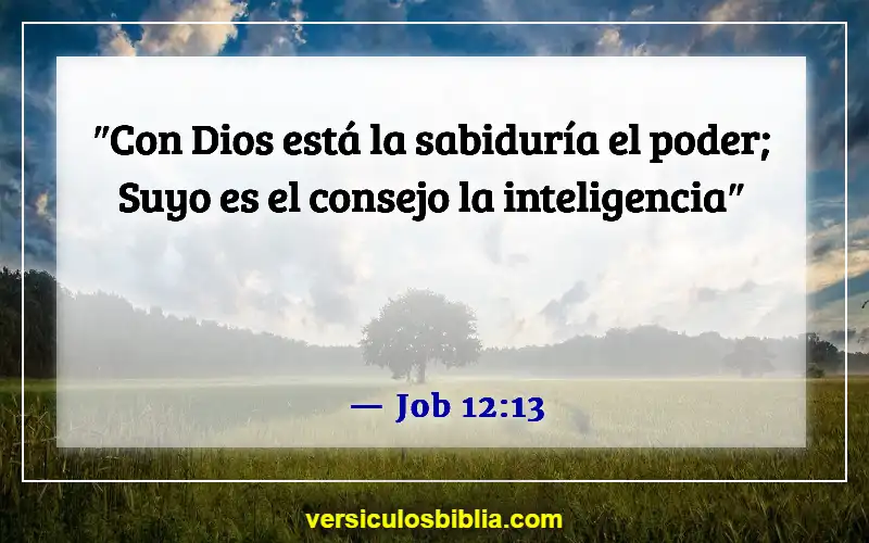 Versículos de la Biblia sobre cuestionar a Dios (Job 12:13)