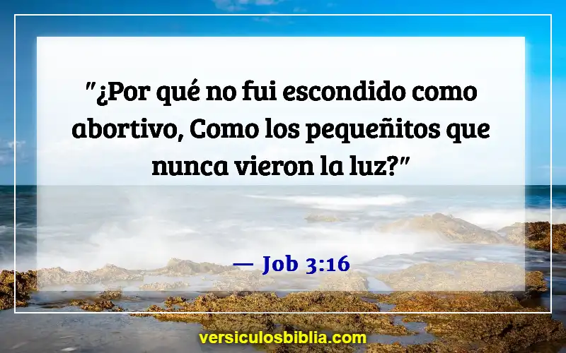 Versículos de la Biblia sobre los bebés que van al cielo (Job 3:16)