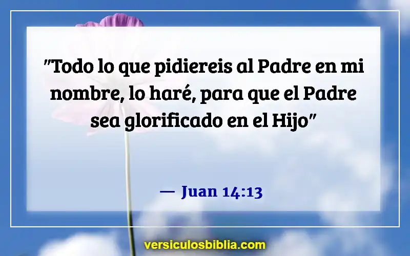 Versículos de la Biblia sobre pedir en el nombre de Jesús (Juan 14:13)