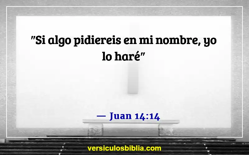 Versículos de la Biblia sobre pedir en el nombre de Jesús (Juan 14:14)