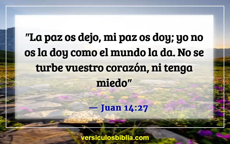 Versículos de la Biblia sobre el ánimo a los demás (Juan 14:27)