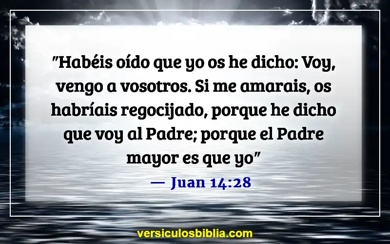 Versículos de la Biblia sobre el Rapto (Juan 14:28)