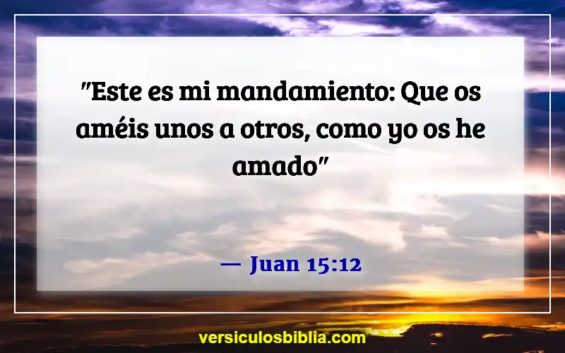 Versículos de la Biblia sobre el afecto (Juan 15:12)