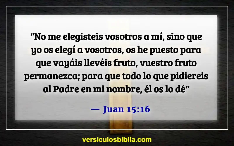 Versículos de la Biblia sobre pedir en el nombre de Jesús (Juan 15:16)