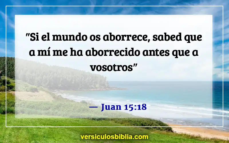 Versículos de la Biblia sobre superar el rechazo (Juan 15:18)