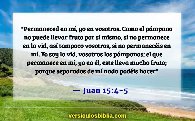 Versículos de la Biblia sobre dedicar tiempo a Dios (Juan 15:4-5)