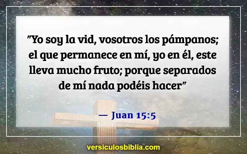 Versículos bíblicos sobre confiar en Dios (Juan 15:5)