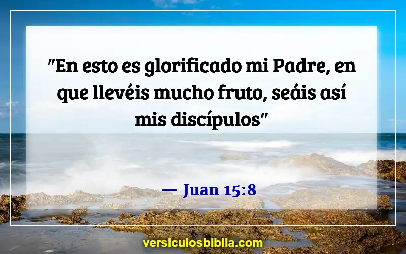 Versículos de la Biblia sobre pedir en el nombre de Jesús (Juan 15:8)