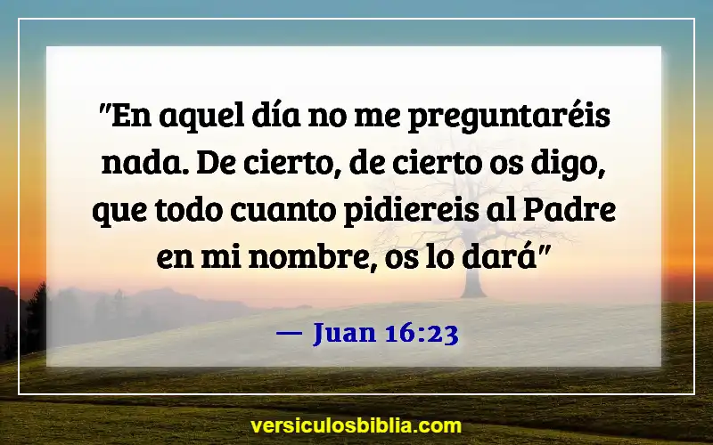 Versículos de la Biblia sobre pedir en el nombre de Jesús (Juan 16:23)