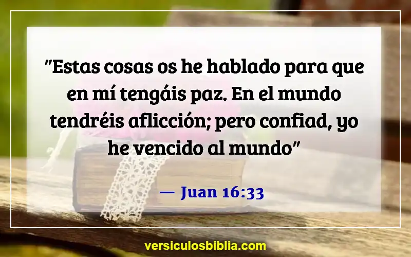 Versículos bíblicos sobre confiar en Dios (Juan 16:33)