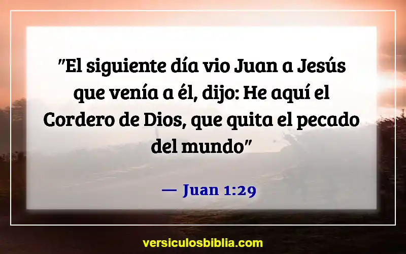 Versículos de la Biblia sobre el perdón de los pecados (Juan 1:29)