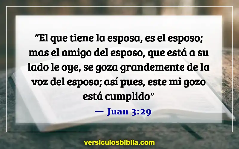 Versículos de la Biblia sobre la novia y el novio (Juan 3:29)