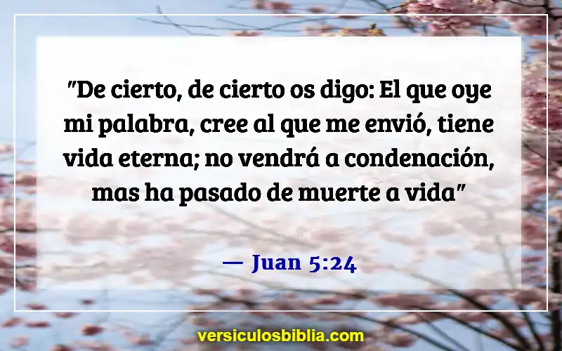 Versículos bíblicos sobre cómo lidiar con la muerte (Juan 5:24)