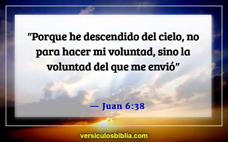 Versículos de la Biblia sobre seguir la voluntad de Dios (Juan 6:38)