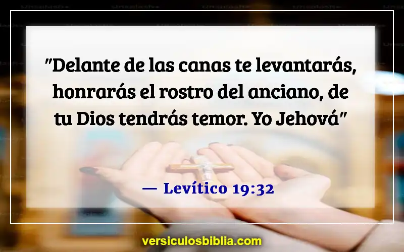 Versículos de la Biblia sobre hacer tropezar a un niño (Levítico 19:32)