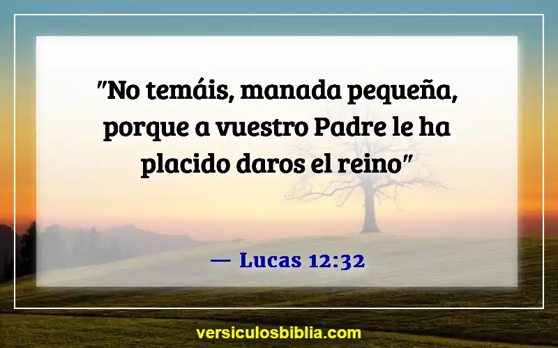 Versículos de la Biblia sobre superar el rechazo (Lucas 12:32)