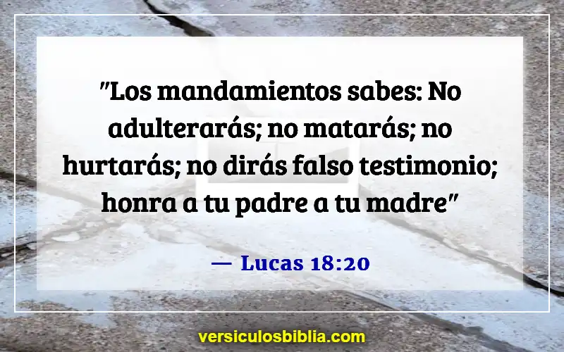 Versículos de la Biblia sobre respetar a los padres (Lucas 18:20)