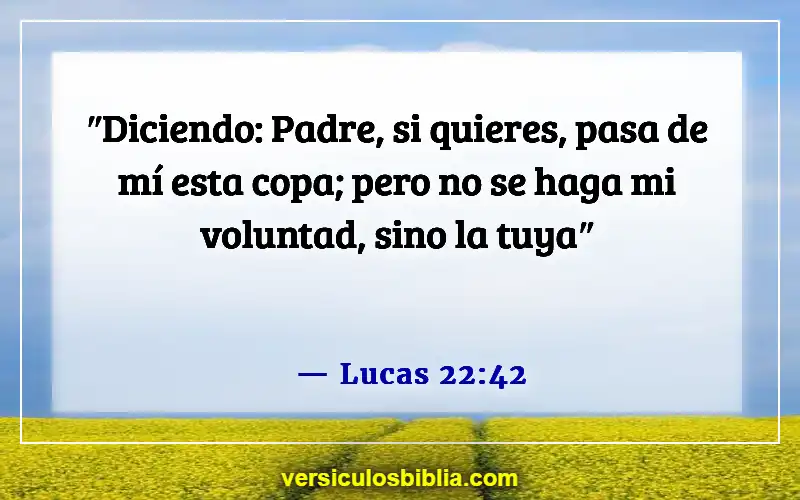 Versículos de la Biblia sobre seguir la voluntad de Dios (Lucas 22:42)