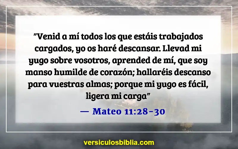 Versículos de la Biblia sobre el ánimo a los demás (Mateo 11:28-30)