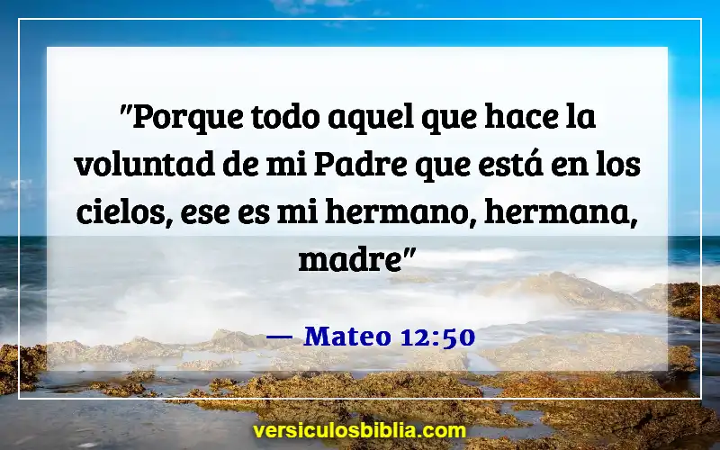 Versículos de la Biblia sobre seguir la voluntad de Dios (Mateo 12:50)