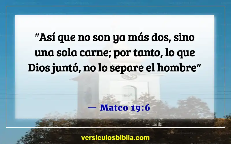 Versículos de la Biblia sobre el abuso en el matrimonio (Mateo 19:6)