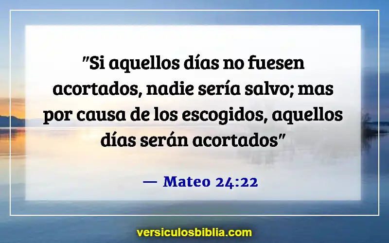 Versículos de la Biblia sobre los Elegidos (Mateo 24:22)