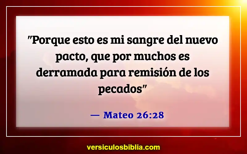 Versículos de la Biblia sobre perdonarse unos a otros (Mateo 26:28)