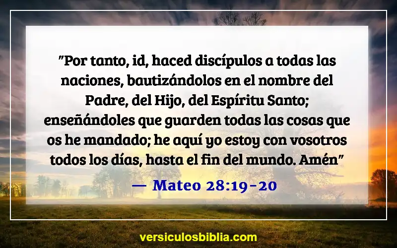 Versículos bíblicos sobre la aventura (Mateo 28:19-20)