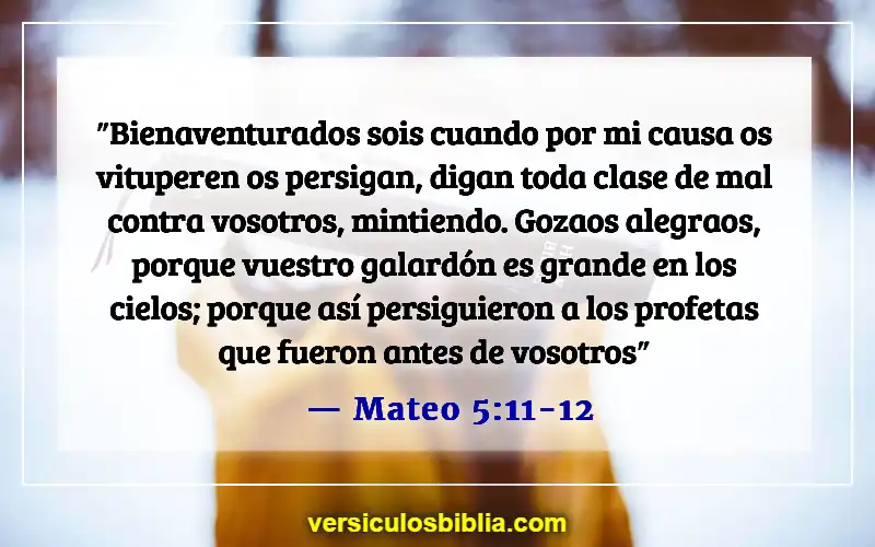 Versículos bíblicos sobre el mal en el mundo (Mateo 5:11-12)