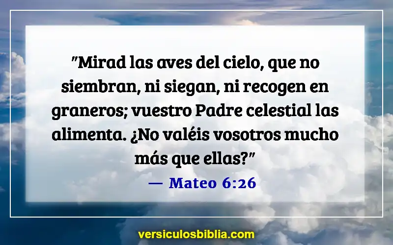 Versículos de la Biblia sobre las almas de los animales (Mateo 6:26)