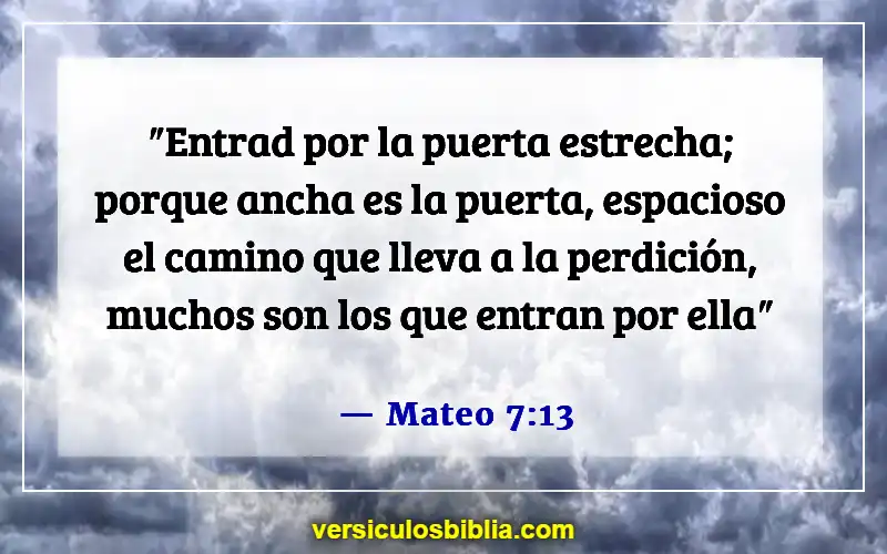 Versículos de la Biblia sobre evitar el pecado (Mateo 7:13)