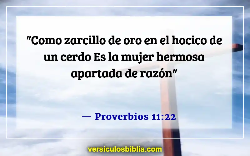 Versículos de la Biblia sobre juzgar por las apariencias (Proverbios 11:22)