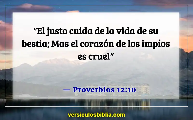 Versículos de la Biblia sobre las almas de los animales (Proverbios 12:10)