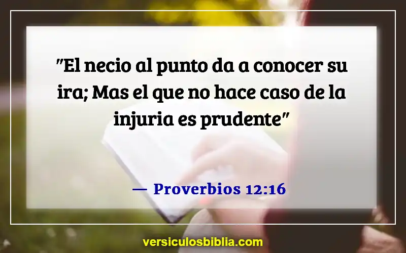 Versículos de la Biblia sobre ofender a las personas (Proverbios 12:16)